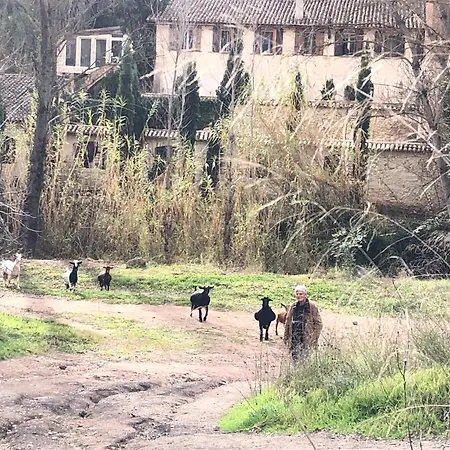 Rural Con Encanto Alborache